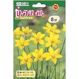 春植え球根 ゼフィランサス イエロー (530164)