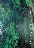 virtual trip ���v�� �I�v�̊y�� part3�y�ቿ�i�z