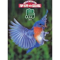 鳥 (ニューワイド学研の図鑑 6) |本 | 通販 | Amazon