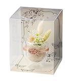 Paseo クリアケース入り プリザーブドフラワー フラワーグラス 10.5×10.5×H13cm SG-101B