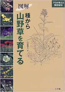 図解 種から山野草を育てる プロが教える園芸秘伝 石原 篤幸 本 通販 Amazon