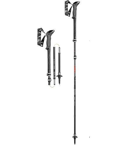 LEKI - LEKI MICRO STICK 110 トレッキングポール Amazon | LEKI MICRO STICK レキ マイクロ スティック 3段