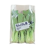 ちんげん菜 FT22cmX30cmX100枚