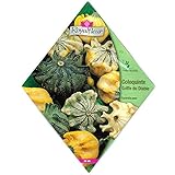 [春～初夏まき　タネ][フランスの種]オモチャカボチャ（観賞用・小型の王冠型のペポかぼちゃ）* ノーブランド品