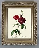 BiblioArt Series　P.J.ルドゥーテ 「ロサ・ガリカ系」 金縁額装品
