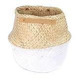 Seagrass Belly Basket Dipped White [並行輸入品]