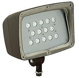 Hubbell Outdoor FML14 Architectural LED Floodlight [並行輸入品]