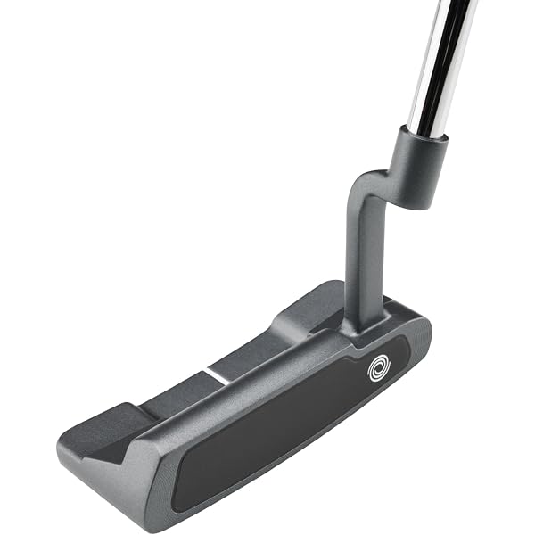 Amazon.co.jp: PING PLD MILLED PUTTER ANSER 2D ガンメタル 2024