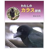 わたしのカラス研究 (やさしい科学)