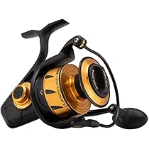 Amazon | ダイワ(DAIWA) ライン&SP付リール BG3000 ミノーキット