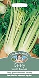 MFVE 英国ミスターフォザーギルズシード Celery Green Sleeves セロリー・グリーン・スリーブス