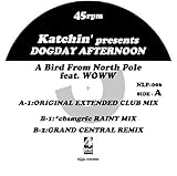 A Bird From North Pole feat.TAKAYOSHI SHIRAKAWA from BACK DROP BOMB