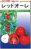 中玉トマト種子・レッドオーレ（17粒）