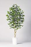 LION 人工植物　GB-241 品番57759