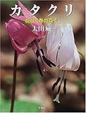 カタクリ―花咲く春の森で