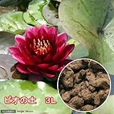 お一人様6点限り No.48 ビオの土(水草の粘土) 3リットル