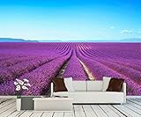 wall26 - 粘着壁紙 大きな壁画シリーズ 100"x144" WMR-WP-X-D410-100x24x6