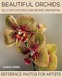 Beautiful orchids. Selected pictures for artistic inspiration: Reference Photos for Artists (English Edition)