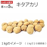 じゃがいも 種芋 キタアカリ 5kg ジャガイモ