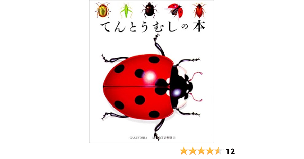 てんとうむしの本 はじめての発見 ド ブルゴアン パスカル ガリマールジュネス社 Gallimard Jeunesse Gallimard Jeunesse ペロル ジルベーヌ 千史 手塚 本 通販 Amazon