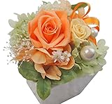 フラデコ　ポワール［陶器] クリアケース付き＆ラッピング♪[オレンジ]