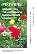 花―自然の最も美しい、もの言わぬヒロインからのメッセージ
