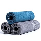 aokway 洗車 タオル 家庭用 マイクロファイバークロス 40*40cm 吸水タオル (グレー*2+ブルー*1)