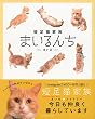 短足猫家族 まいるんち