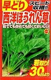 アタリヤ農園 早どり西洋ほうれん草180