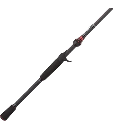 Amazon | (ダイワ) Daiwa フエゴCTベイトキャスト 釣りリール