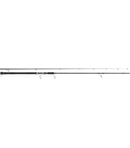 Amazon | RippleFisher RunnerExceed 110H Nano PlugModel リップル
