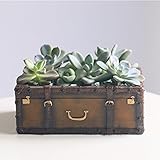 Non-brand 装飾　スーツケースデザイン　フラワーポット