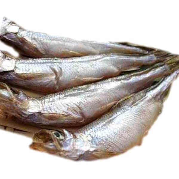 Amazon.co.jp: お歳暮 ギフト 最高級 本ししゃも 特大サイズ 北海道