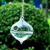 SHINA 2個セット ハンギング ガラス 花瓶 水栽培ポット 観葉植物 水耕栽培植物 ホームデコレーション