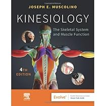 Kinesiology: The Skeletal System and Muscle Function - Muscolino