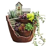 【Alimama】 多肉植物 プランター 収納ボックス カクタス 盆栽 植木鉢 置物 (ヨーロッパの小町)