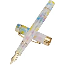Amazon | (ジンハオ) Jinhao 100 万年筆 細字ペン先 美しい