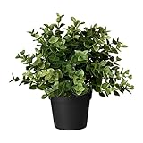 IKEA/イケア　FEJKA：人工観葉植物22 cm　オレガノ（603.751.66）