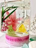 プレゼント ハーバリウム Pink Infinity Rilla (ピンク)