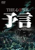 THE �S��ʐ^�u�\���v