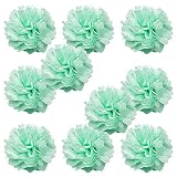 WYZworks ( 10パック) Tissue Pom Poms – セットof 10 – 16 "花パーティーデコレーション、結婚式、誕生日、ブライダル、ベビーシャワー、保育園、飾り HMM-PO