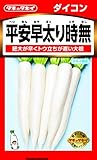 タキイ種苗 大根 平安早太り時無