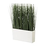 IKEA(イケア) FEJKA 30214491 人工観葉植物 鉢カバー付き, グラス