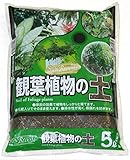 【当店自慢のオリジナル培養土】 ＳＢ 観葉植物の土 5L 元肥入り 有機質肥料 草炭効果で植物をしっかりと育てる！ 園芸用土 サンセベリア ガーデニング 専用土