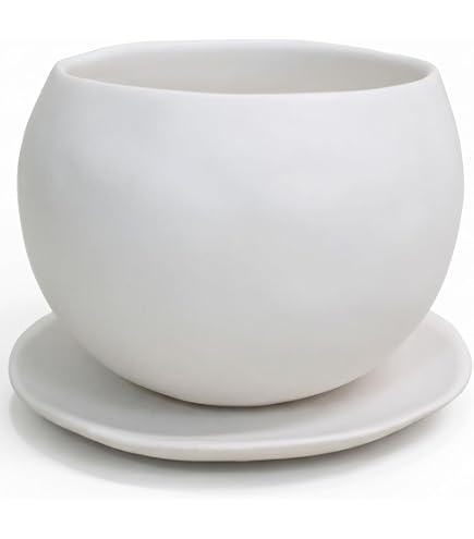 Amazon.co.jp: 植木鉢 おしゃれ 陶器鉢 マリナM＜ 胴部最大外径12cm 4