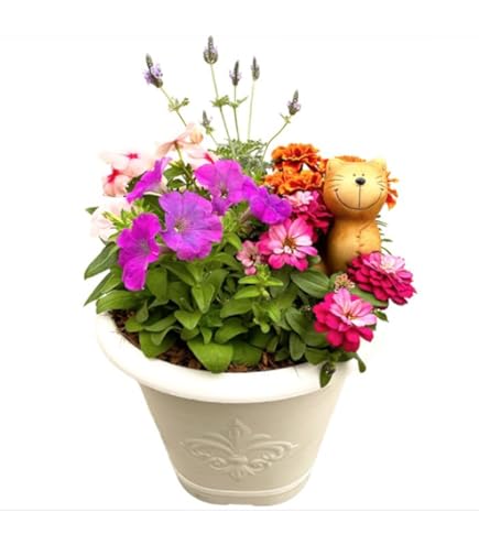 * * *アンティークガーリーな寄せ植え 2e39a6c35af526b5c86faa291e4cfb