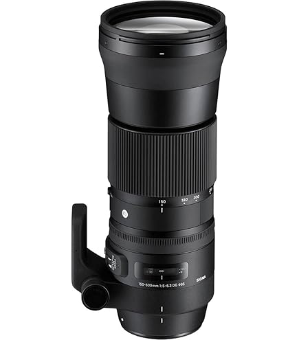Amazon.co.jp: シグマ 150mm F2.8 APO MACRO EX DG HSM フォーサーズ用