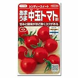 【ノーブランド品】[サカタ　野菜タネ]中玉トマト　シンディースイートの種2袋セット