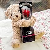 プリザーブド フラワー 1輪 の ローズ プリザ と 抱っこ ベア （ チェリー レッド ）