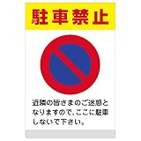 表示看板 「駐車禁止」 反射加工なし 特大サイズ 91cm×135cm